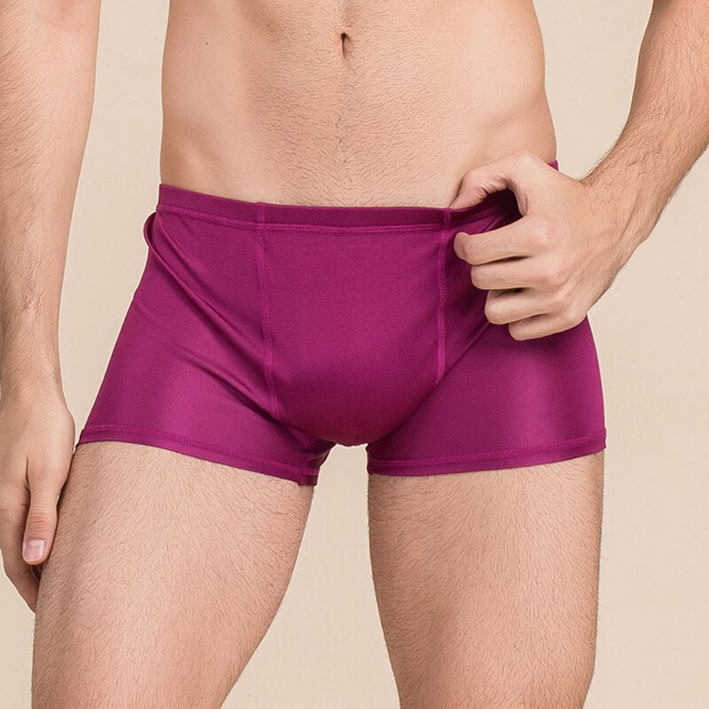 Silk Boxer Briefs Men Silk Knitted Underwear Comfy Silk Boxer