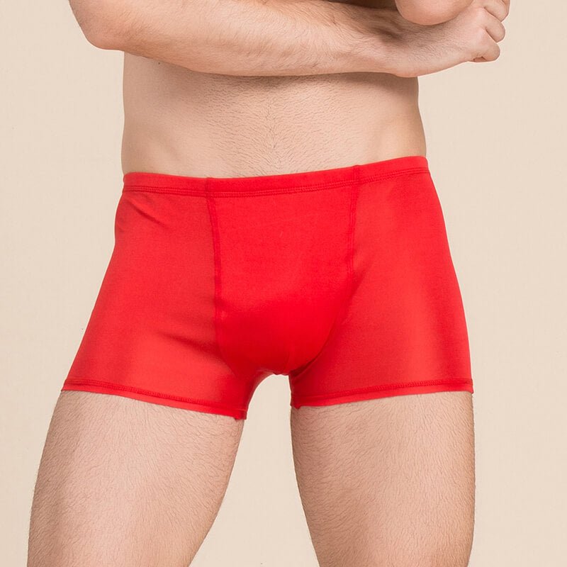 Silk Boxer Briefs Men Silk Knitted Underwear Comfy Silk Boxer